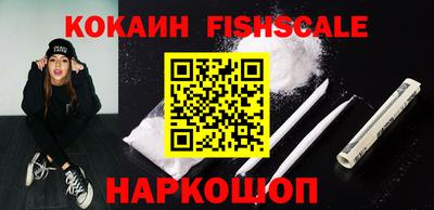 индика Можга