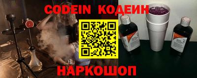 индика Можга