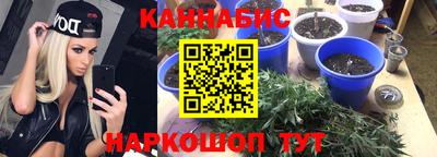 герыч Моздок